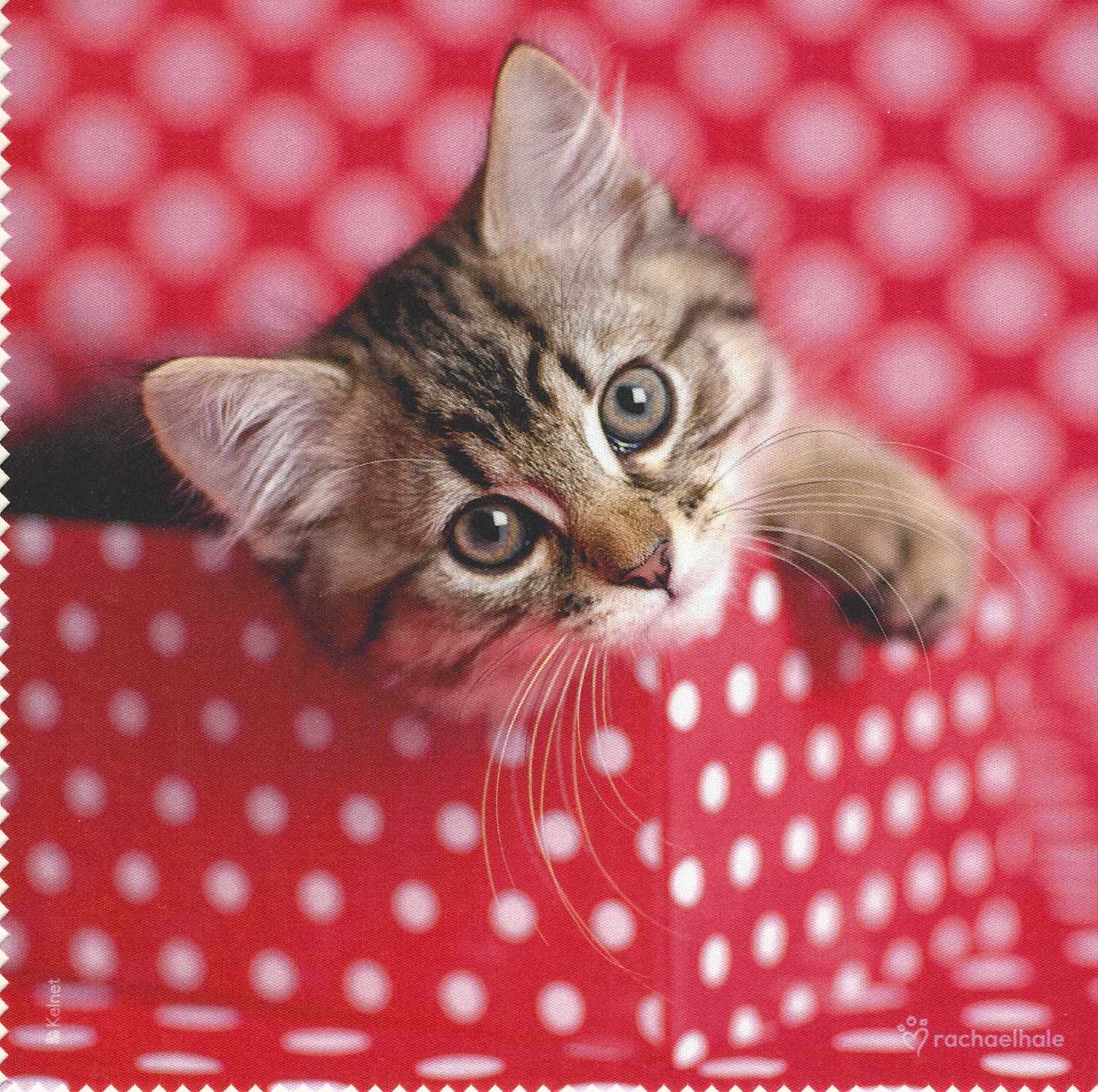 Microfibre qualité supérieure
